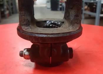 Widłak zewnętrzny 54131