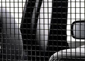 VOLVO V90 II oryginalna pionowa siatka bagaznika 32205028 VOLVO V90 II oryginalna pionowa siatka bagaznika 32205028