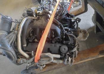 Silnik Słupek RHK 2.0 HDi Fiat Scudo II/Jumpy/Expert Wysyłka