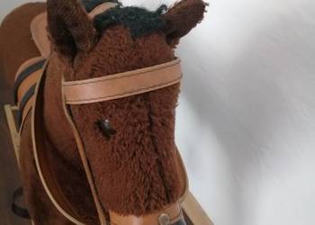 Konik na biegunach
