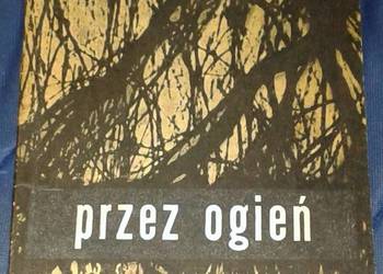 Przez ogień - Wojciech Roszewski