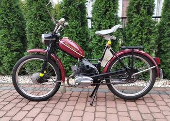 Komar sztywniak 68r