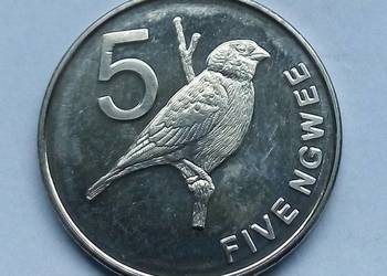 ZAMBIA-5 NGWEE-2012 r (PTAK)-ŁADNA