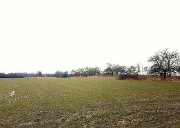 Uniszowice gm. Konopnica, 7800 m2