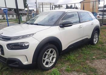 Citroen C4 Cactus 1.2 Turbo benzyna 110 KM / 2020 r. / Klima / Nawi / Alu /