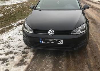 Volkswagen Golf 7 Rok 2014 RLine