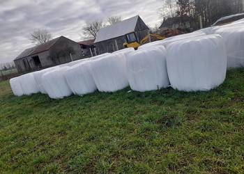 Sianokiszonka w belach zbiór 2025