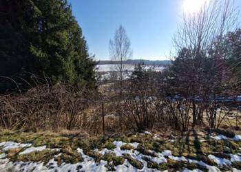 Syndyk sprzeda nieruchomość niezabudowaną - Sikorzyno