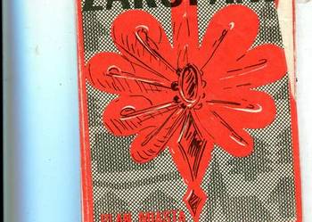 Zakopane Plan miasta mapa