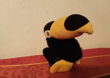 Pluszowy tukan