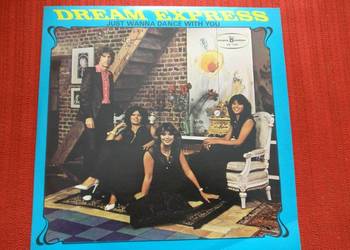 Płyty winylowe Dream Express