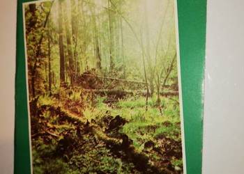 Mapa Białowieży-Retro Vintage 1989r. Mapa Białowieży-Retro Vintage 1989r.