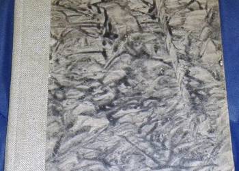 Gawędy chemiczne - Wacław Gołembowicz
