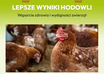 SALMACID paleta 528 kg zakwaszacz do wody (24x22 kg) DARMOWA DOSTAWA