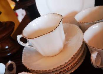 Filiżanka z talerzykiem deserowym. Phoenix Foresters. Englan