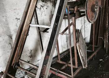 Sortownik sortownica do warzyw