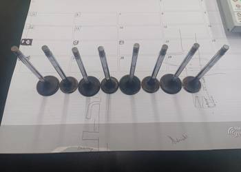 Zawory silnika peugeot j5 1989r 2.5D