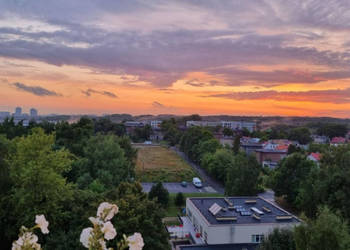 Mieszaknie z widokiem na Park Śląski