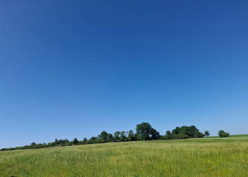 16 ha ziemi Gorzanów