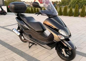 Yamaha Majesty SP LIMITED EDITION 2005r 125cc KAT.B bdb stan FILM RATY