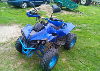 quad 125 Bombardier 3+1