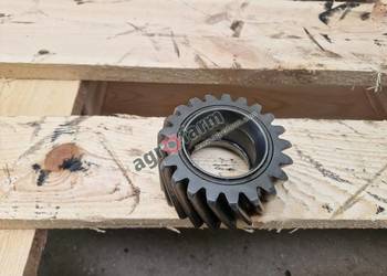 Koło zębate Deutz Dx 4.10, 4.30, 6.05, 6.10