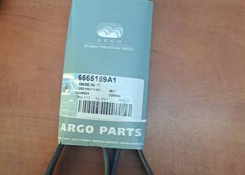 6665169a1 pasek alternatora McCORMICK/LANDINI