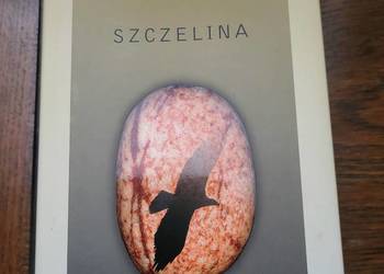 Zestaw powieści Doris Lessing