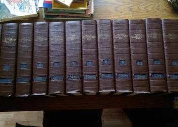 Wielka Encyklopedia Powszechna T.1-13