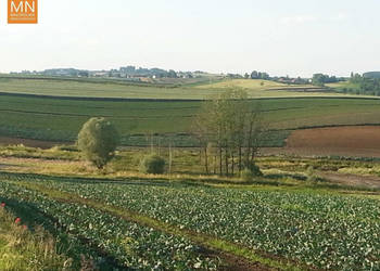 Grunt Wronin 1560m2