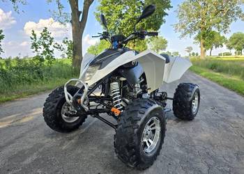 Quad Shineray / Egl / Bashan  250cc Ciecz Duża rama Alufelgi 10 cali Super