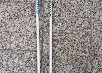 Kijki do nart biegowych SWIX Frost 110 cm