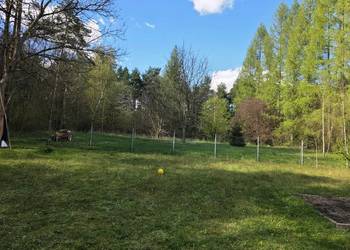 Działka budowlana 1369m2 zabudowana pod lasem – Kiełkowice (Jura)
