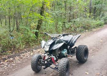 Bashan 250