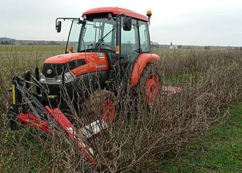 Podcinanie krzewów - porzeczki, agrest itp.