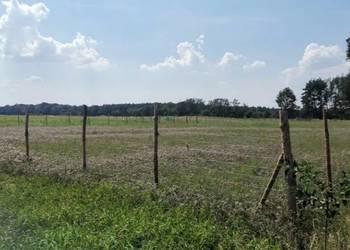 Płot Panelowy Ogrodzenie panelowe betonowe Siatka l Panel PRODUCENT