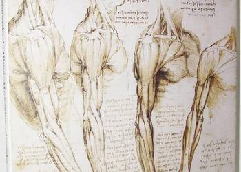 LEONARDO DA VINCI MECHANIKA CZŁOWIEKA Clayton Phil