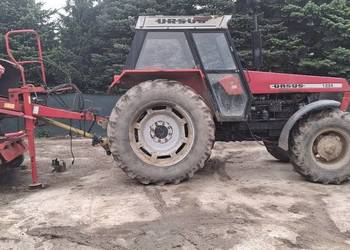 Ursus  1224