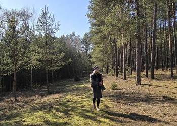 Sprzedam las mieszany