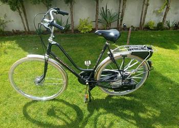 Rower spalinowy z silnikiem sachs Sparta