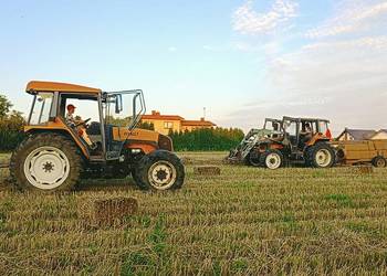 Renault Ceres 355x tur