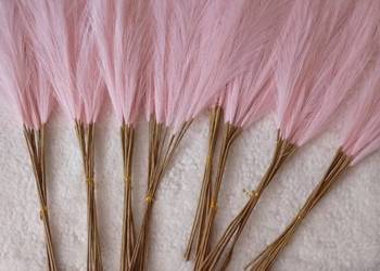Różowa trawa pampasowa 80szt., nowa