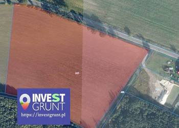 [4,64 ha] przetarg na dzierżawę gruntów rolnych