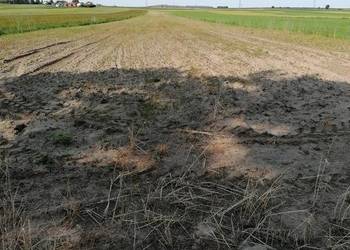 Sprzedam działkę rolną w Ciechankach