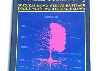 Angielski i Francuski słownik obrazkowy