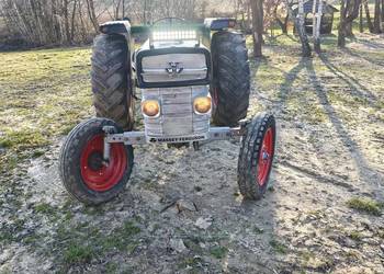 Massey Ferguson 165