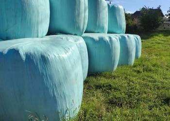 Sprzedam sianokiszonke