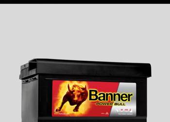 Akumulator  80Ah 700A Banner Power Bull EN PRAWY PLUS