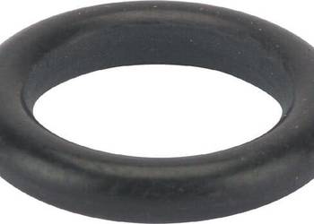 Pierścień uszczelniający o-ring X548829266000