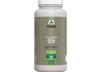 Inokulant Pioneer 11G22 Rapid Reacttraw do traw szybki zakiszacz